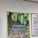은원농장 네이버블로그