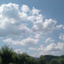 새동안길 이미지