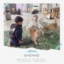 커피183(COFFEE183) | 대구 동성로 고양이카페 양이랑커피랑 후기｜아이와 함께 다녀온 힐링 데이트 코스