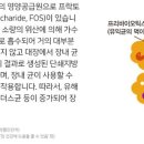 희망의 나래 이미지