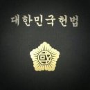 대한민국 헌법 (헌법 제10호, 1987.10.29., 전부개정) 이미지