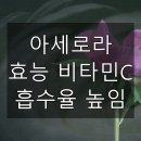 [옥정]천연화장품 흑설탕 스크럽&토너 | 아세로라 효능 비타민C 흡수율 높임