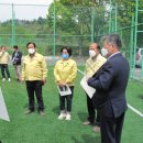 금산군축구장 이미지