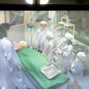 킥스 태권도&줄넘기 이미지