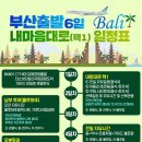 발리라이브 이미지