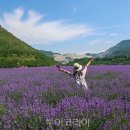 동해-단속-13 이미지