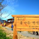 통나무펜션 Daum카페