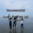 대부도 방아머리 음식거리 | 대부도 방아머리해수욕장 주차장 갯벌체험 동죽 주워 담으면 끝!! 대박