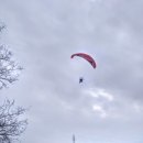 선어대생태공원 이미지