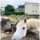 법환동마을회관 이미지