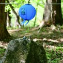 순천-46호 이미지