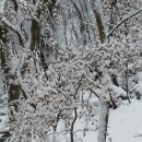 도안탑공인중개사사무소 이미지