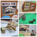 🐢🐌쥬쥬동물체험 이미지