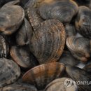 장봉도 수산