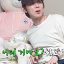 코쿤