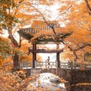 버덩농장 | 7월 국내 여행지 추천 : 전라도 구례 지리산 천은사 둘레길