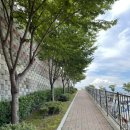 임호체육공원 이미지