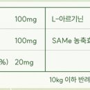 브릿지에이몰