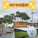 7231 | 반려견과 뛰어놀 수 있는 실내.외 공간 "대전 반려동물공원" 방문 후기