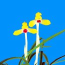 한국춘란 황화색설(黃花色舌) 황비(皇妃)21 이미지