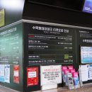 수목원파크 | 제주 밤에 가볼만한곳 제주도 야간명소 수목원길 야시장과 수목원테마파크 방문 후기