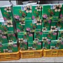 성은농장 이미지