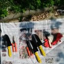 학장중학교 이미지