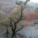 데칼코마니 이미지