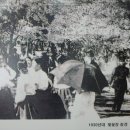 공설운동장(서편) 이미지