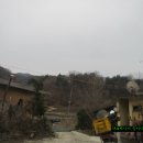 버섯마당 이미지