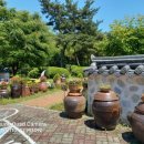 설렘도고 이미지