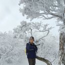 태백산국립공원 장군봉 이미지