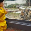 전주동물원 이미지