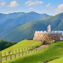 아라리인형의집 이미지