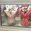 시선이 머무는, 꽃 네이버블로그