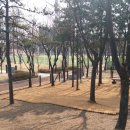 마들스타디움 이미지