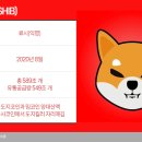 이누솔루션