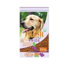 도그도기 이미지