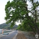 남해-302 이미지