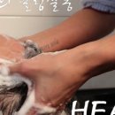 제제살롱 - 북구 | 제제살롱