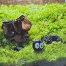 내 책상위의 작은 숲 테라리움 | 제주 감성을 담은 작은 힐링, GOTERRA 모스카드무드 테라리움무드등으로 완성한 나만의 초록휴식