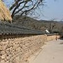 박달상지 이미지