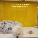 예쁘고멍 이미지