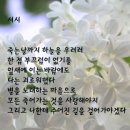 누나 저 까리따스(라틴어로 사랑이란 뜻이죠)에요.. 이미지