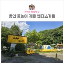 앤디스가든 | 앤디스가든 용인 아이랑 갈만한 에어바운스 수영장 물놀이 카페