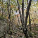 제눈에안경 이미지