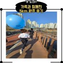 2025 KNN 환경마라톤 5km 완주 후기 | 러닝의 짜릿한 도전!