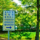 숲속쉼표