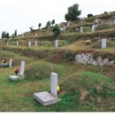 제일장의사 이미지