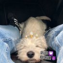 더와요